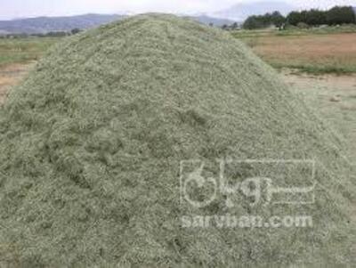 فروش یونجه