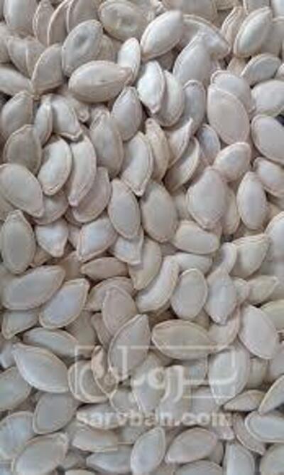 فروش تخمه  کدو