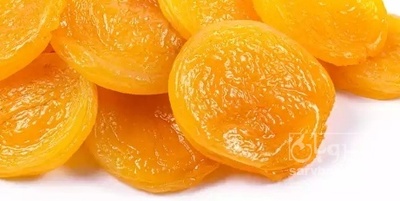 فروش برگه قیسی