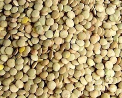 فروش عدس
