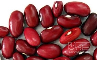 فروش لوبیا قرمز
