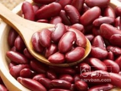 فروش لوبیا قرمز