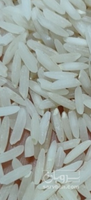 فروش برنج صدری