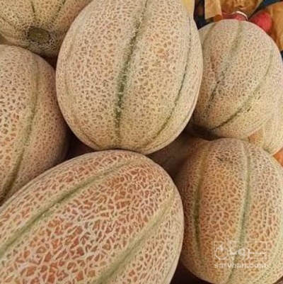 فروش طالبی جانا