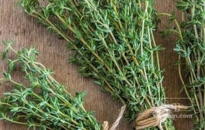 فروش آویشن خشک (گیاه‌ دارویی)