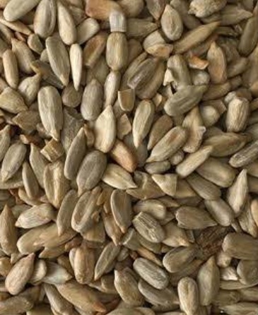 فروش تخمه آفتابگردان بود داده