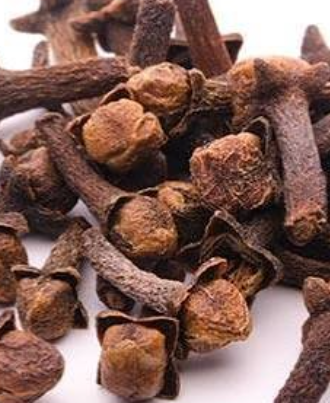فروش میخک (گیاه‌ دارویی)