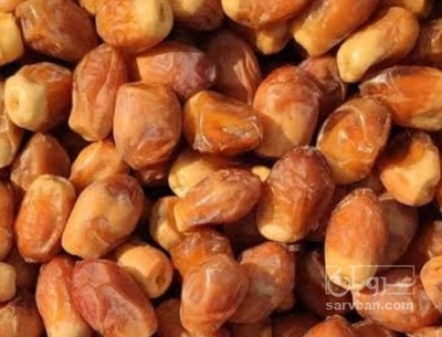 فروش خرما زاهدی