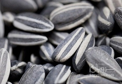 فروش تخمه آفتابگردان بود داده