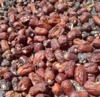 فروش خرما زاهدی ضایعاتی