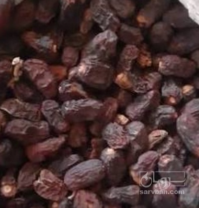 فروش خرما کبکاب ضایعاتی