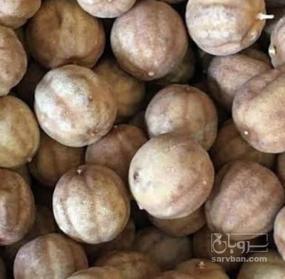 فروش لیمو خشک