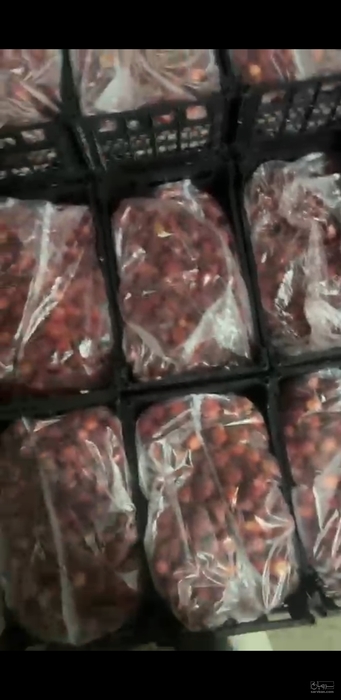 فروش توت فرنگی