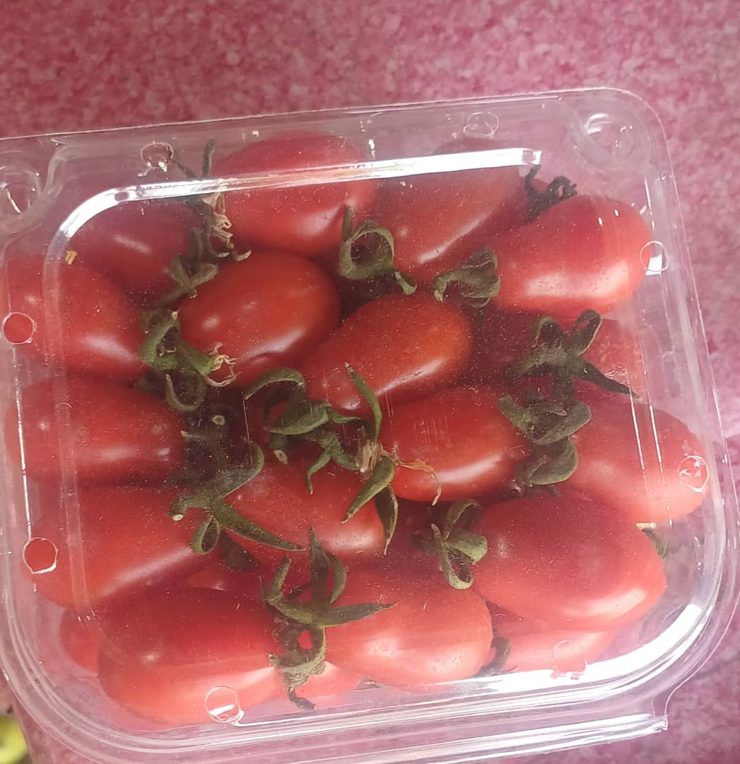 فروش گوجه فرنگی