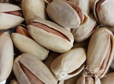 فروش پسته