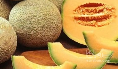 فروش طالبی