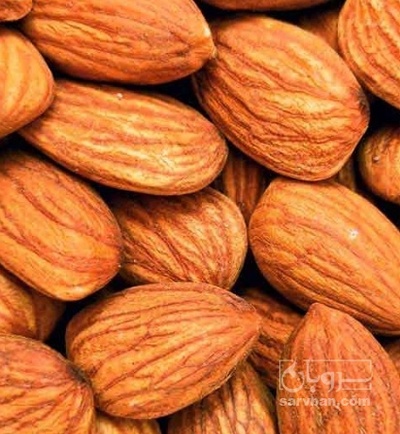 فروش مغز بادام سنگی
