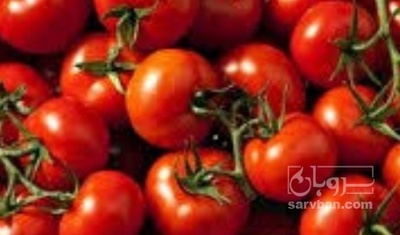 فروش گوجه فرنگی