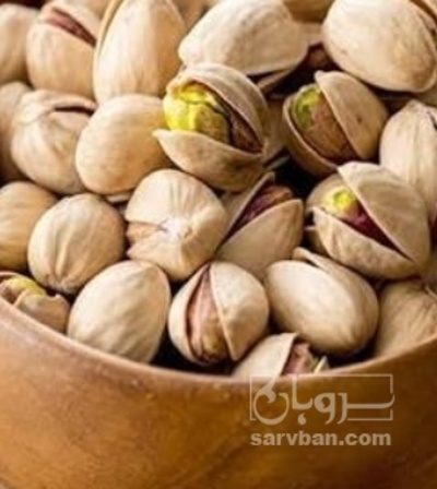 فروش پسته فندقی