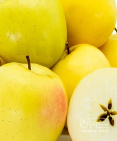 فروش سیب زرد