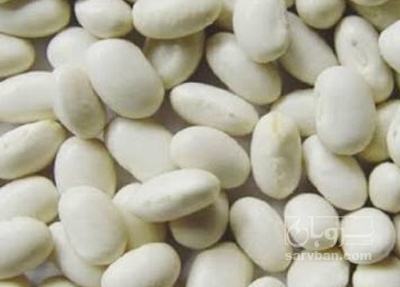 فروش لوبیا سفید