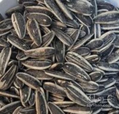 فروش تخمه آفتابگردان بود داده