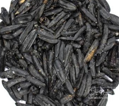 فروش تخمه سیاه