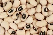 فروش لوبیا چشم بلبلی