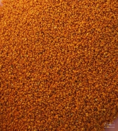 فروش خاکشیر (گیاه‌ دارویی)