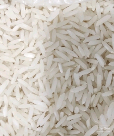 فروش برنج
