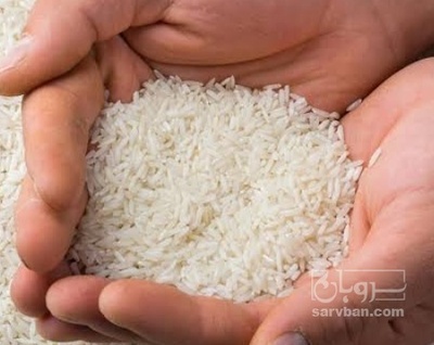 فروش برنج هاشمی