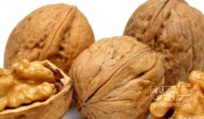 فروش گردو