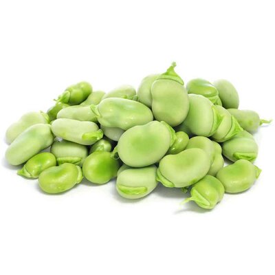 فروش باقلا
