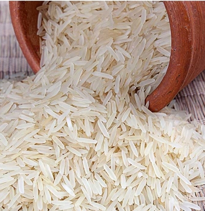 فروش برنج طارم هاشمی