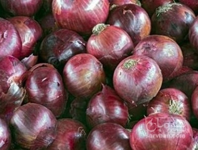 فروش پیاز قرمز