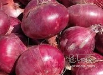 فروش پیاز قرمز