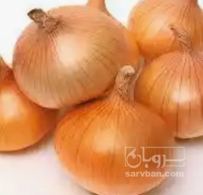 فروش پیاز زرد