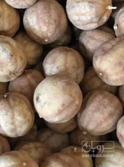 فروش لیمو خشک