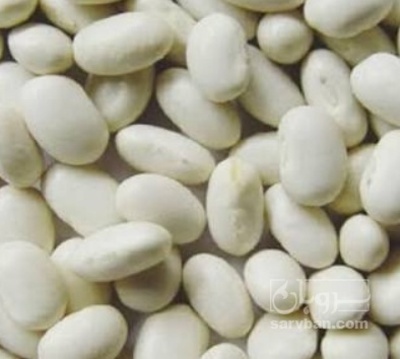 فروش لوبیا سفید