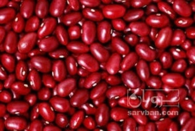 فروش لوبیا قرمز