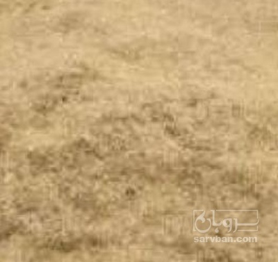 فروش کاه و کلش گندم