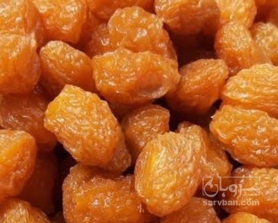 فروش آلو جوشی