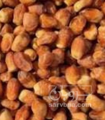 فروش خرما زاهدی