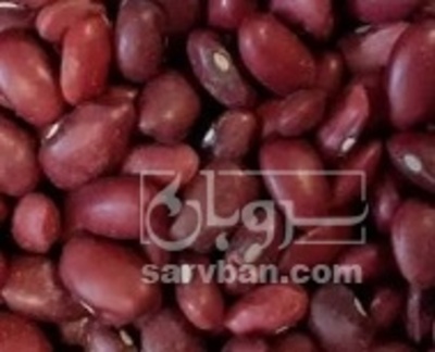 فروش لوبیا قرمز