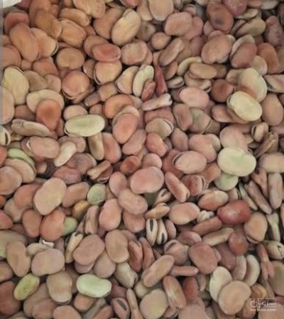 باقالا خشک بذری