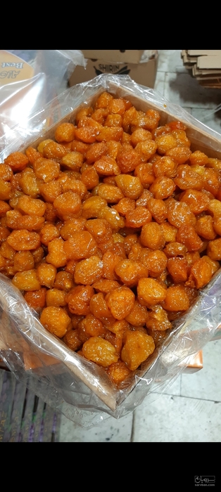 فروش آلوبخارا