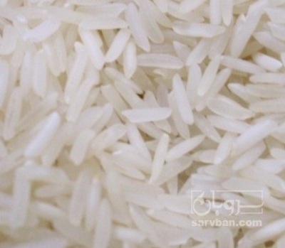فروش برنج
