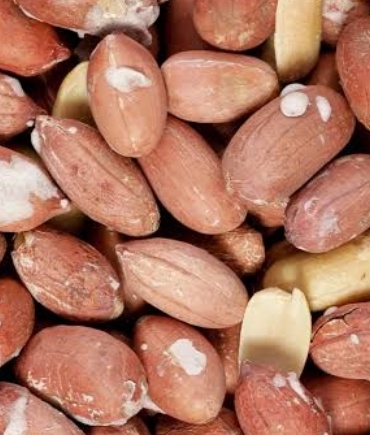 فروش بادام زمینی شور بی قلاف