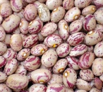 فروش لوبیا چیتی
