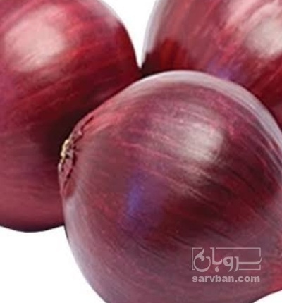 فروش پیاز قرمز